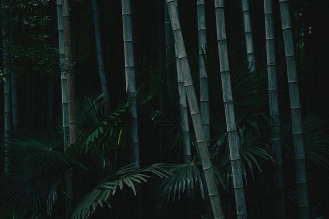 Bamboe vloeren